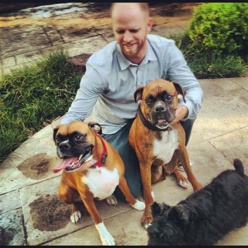 The Pups 